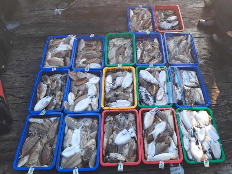 행운호 조황갤러리입니다.