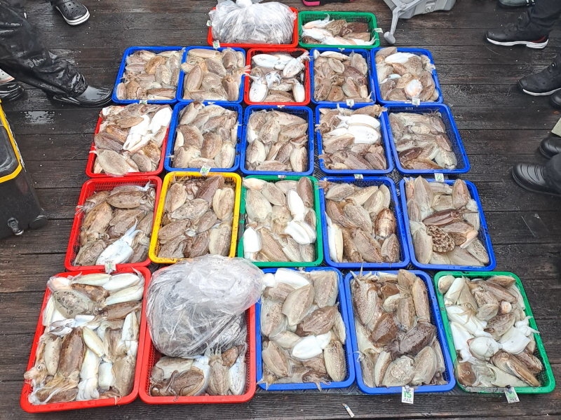 행운호 조황갤러리입니다.