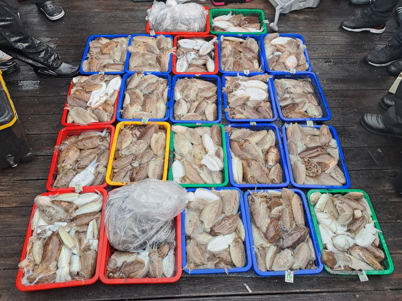 행운호 조황갤러리입니다.