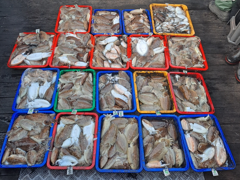 행운호 조황갤러리입니다.