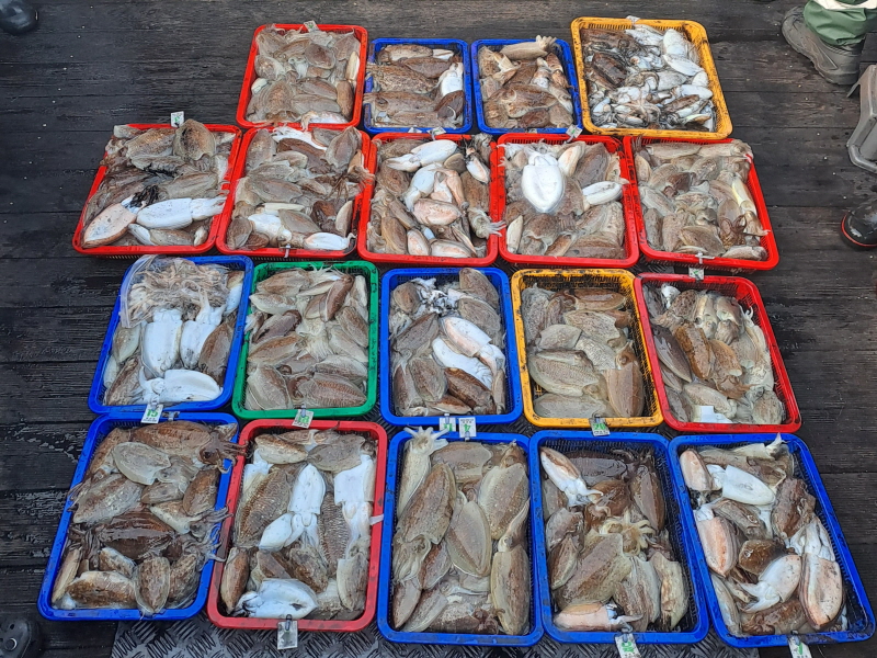 행운호 조황갤러리입니다.