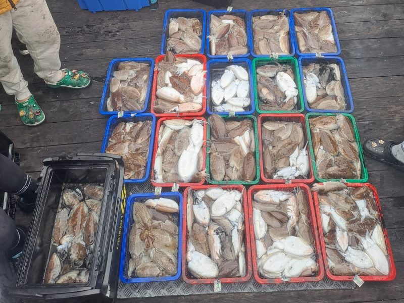 행운호 조황갤러리입니다.