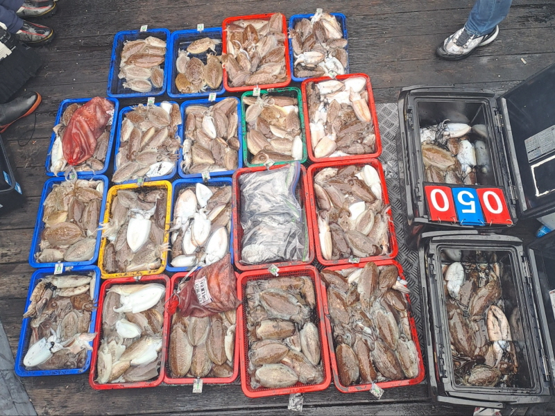 행운호 조황갤러리입니다.