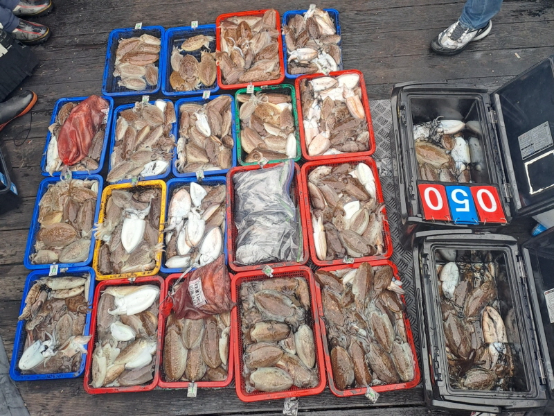 행운호 조황갤러리입니다.