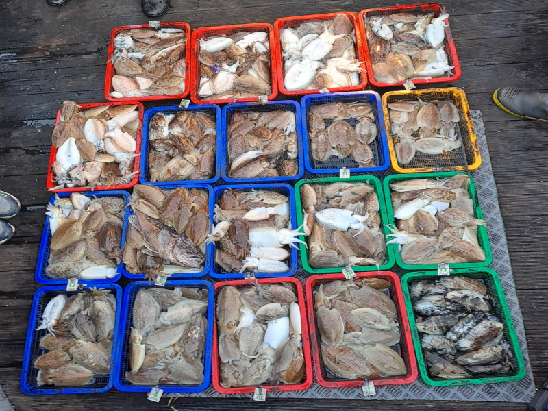 행운호 조황갤러리입니다.