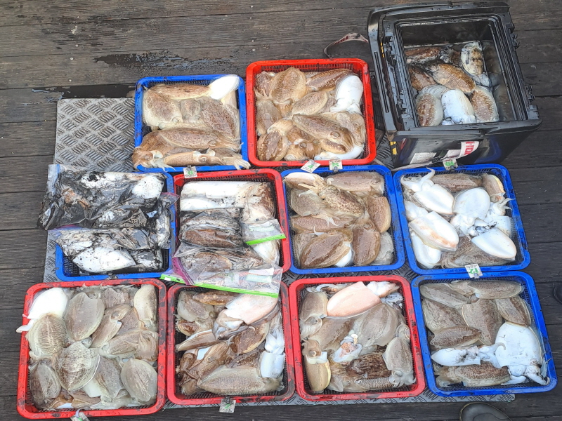 행운호 조황갤러리입니다.