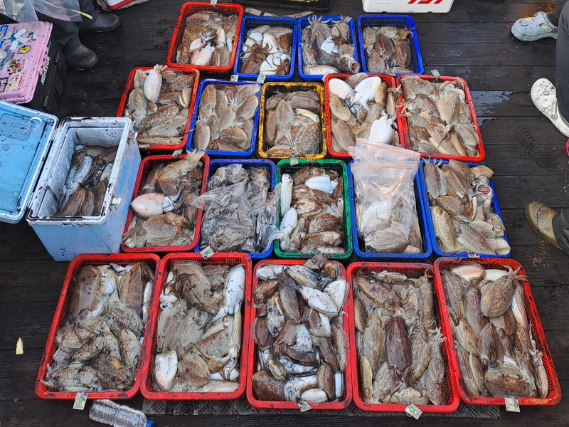 행운호 조황갤러리입니다.