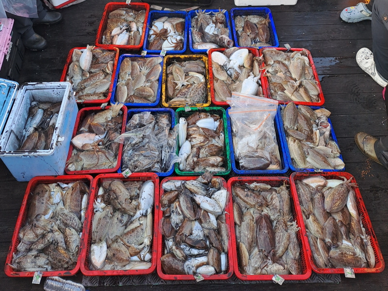 행운호 조황갤러리입니다.