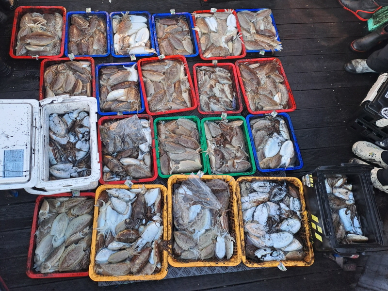 행운호 조황갤러리입니다.