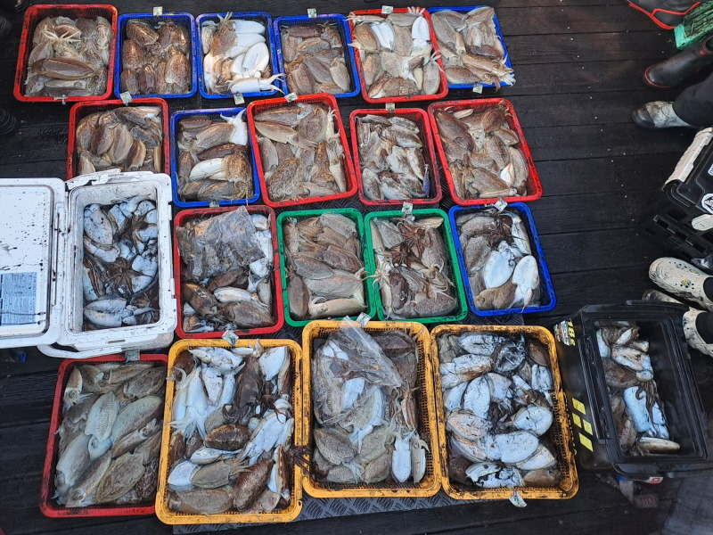 행운호 조황갤러리입니다.