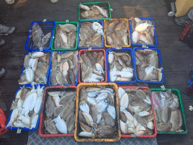 행운호 조황갤러리입니다.