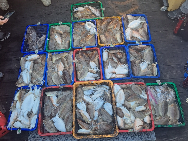 행운호 조황갤러리입니다.