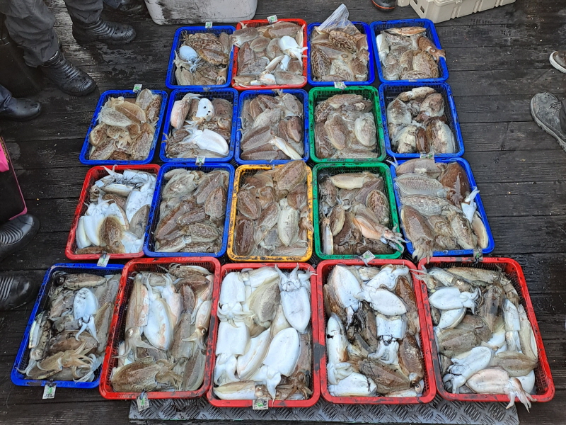 행운호 조황갤러리입니다.