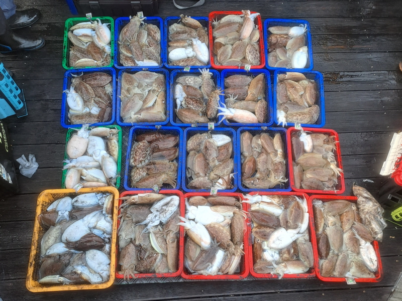 행운호 조황갤러리입니다.