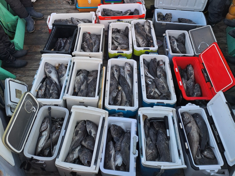 행운호 조황갤러리입니다.