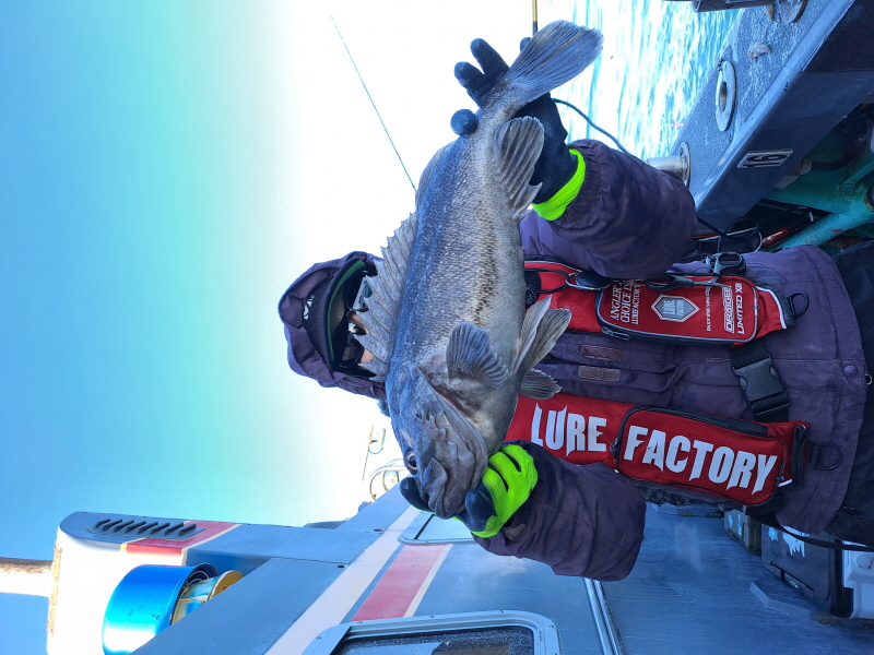 행운호 조황갤러리입니다.