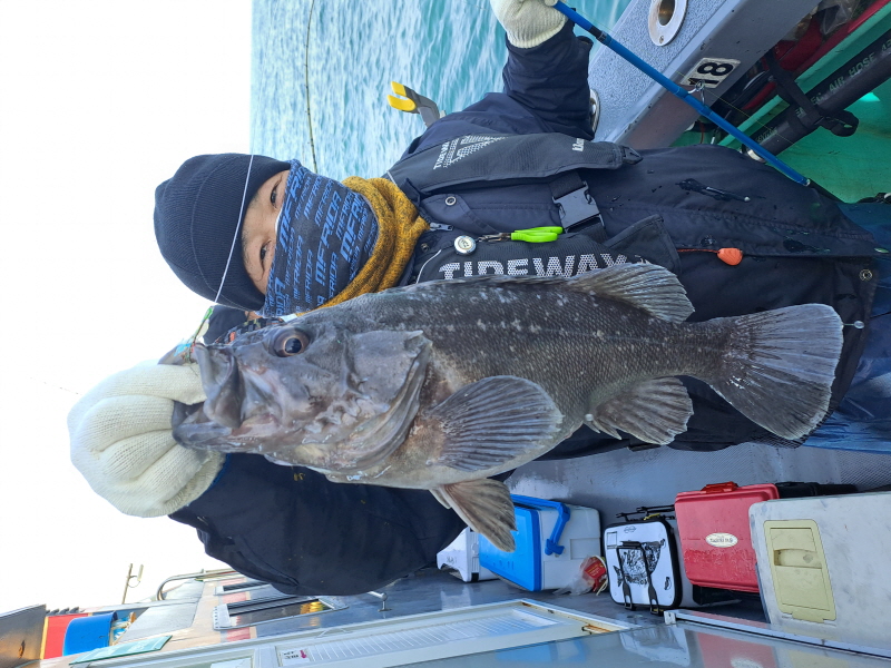 행운호 조황갤러리입니다.