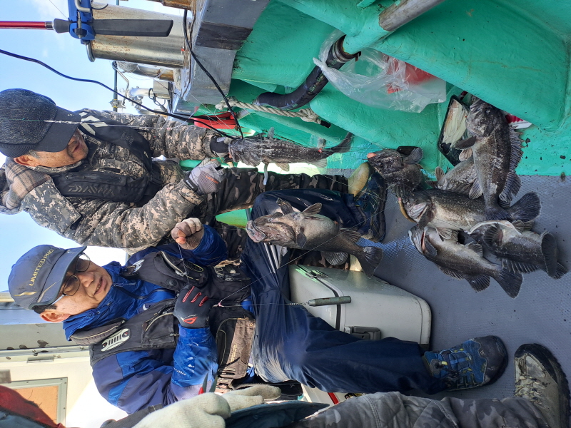 행운호 조황갤러리입니다.