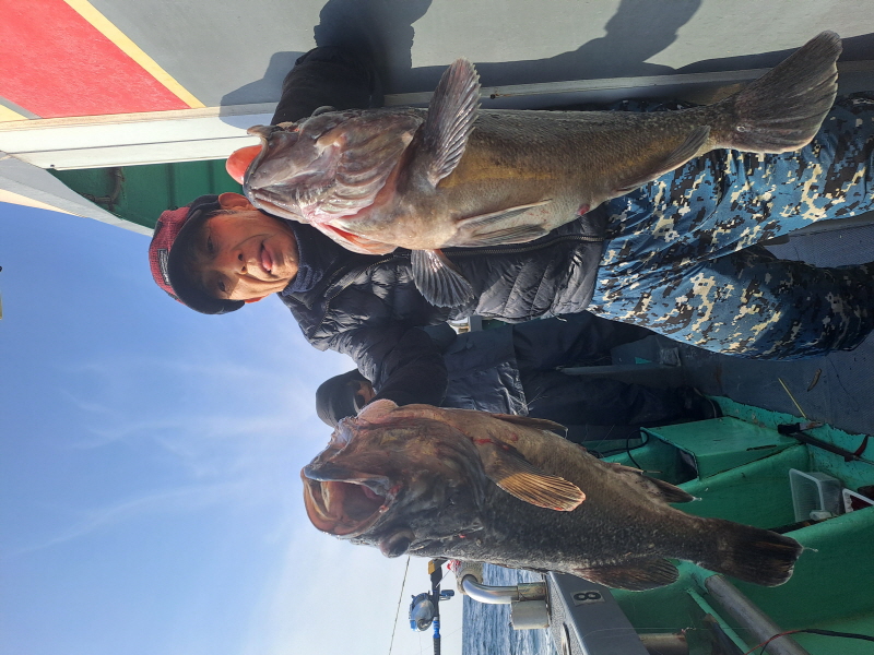 행운호 조황갤러리입니다.