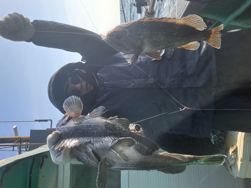 행운호 조황갤러리입니다.