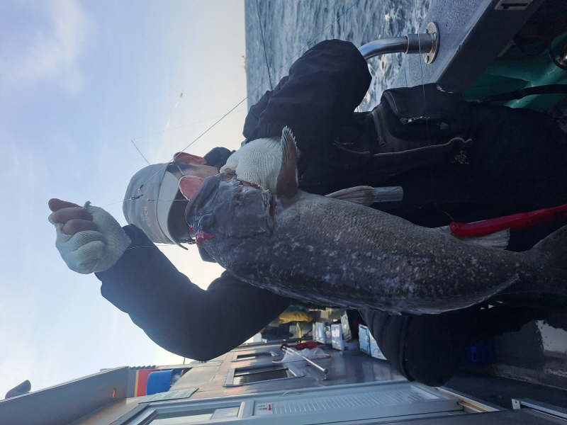 행운호 조황갤러리입니다.