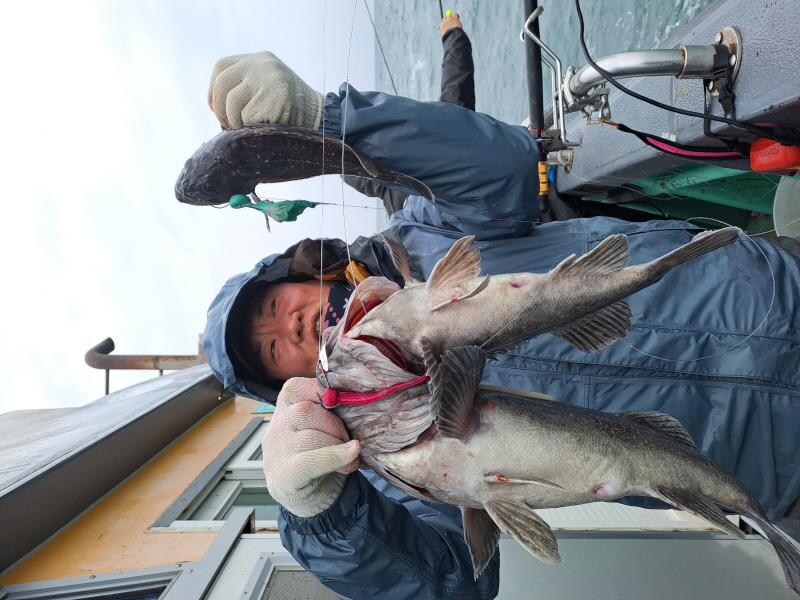 행운호 조황갤러리입니다.