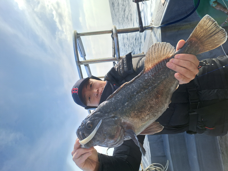 행운호 조황갤러리입니다.