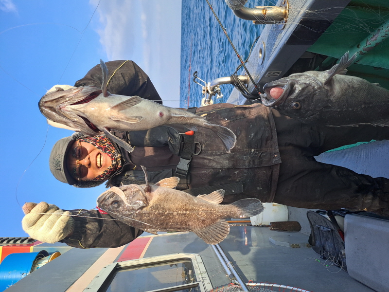 행운호 조황갤러리입니다.