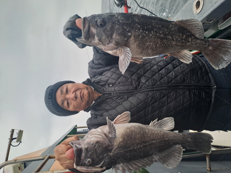 행운호 조황갤러리입니다.