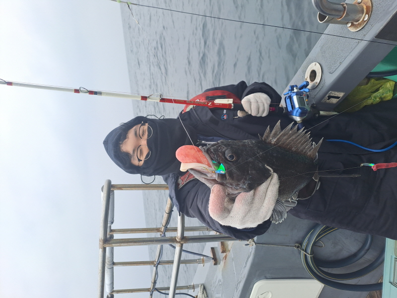 행운호 조황갤러리입니다.