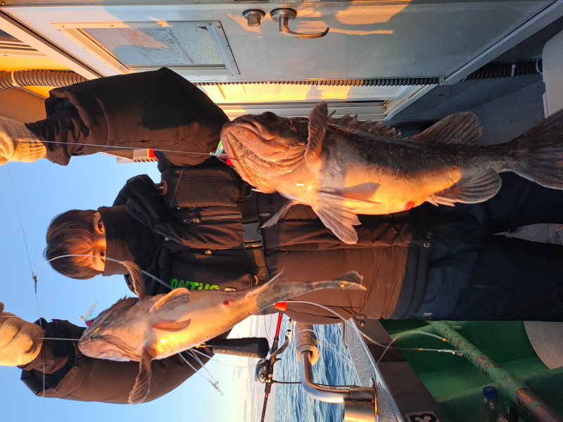 행운호 조황갤러리입니다.