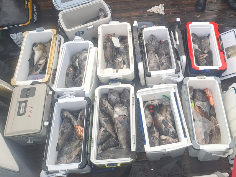 행운호 조황갤러리입니다.