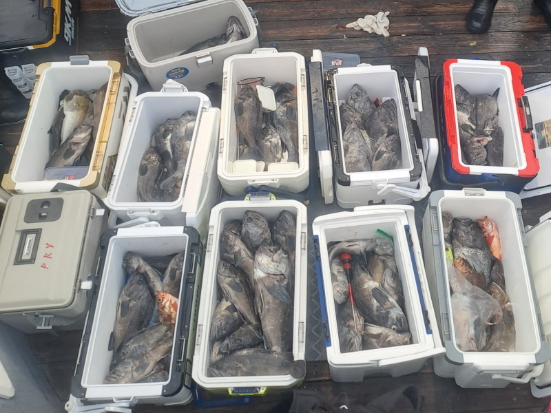 행운호 조황갤러리입니다.