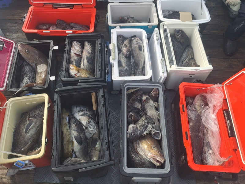 행운호 조황갤러리입니다.