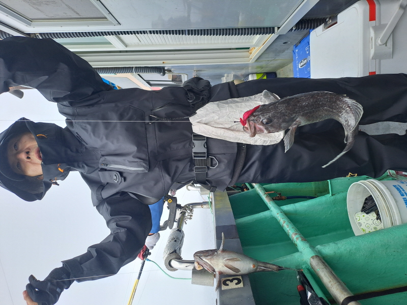 행운호 조황갤러리입니다.