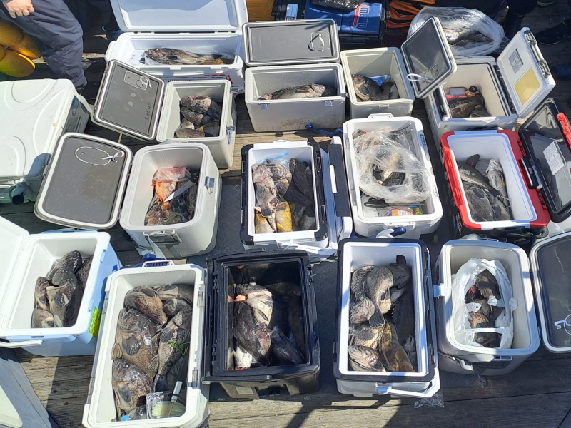 행운호 조황갤러리입니다.