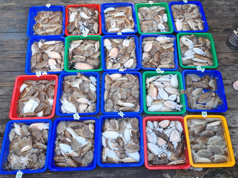 신정호 조황갤러리입니다.