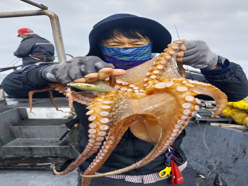 나르샤호 조황갤러리입니다.