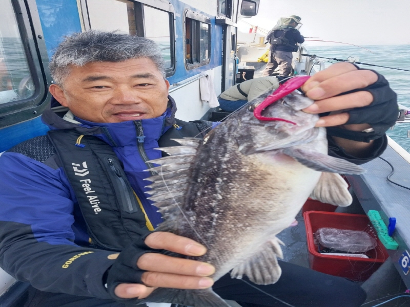 나르샤호 조황갤러리입니다.