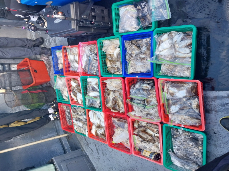 나르샤호 조황갤러리입니다.