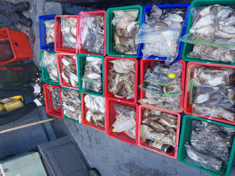 나르샤호 조황갤러리입니다.