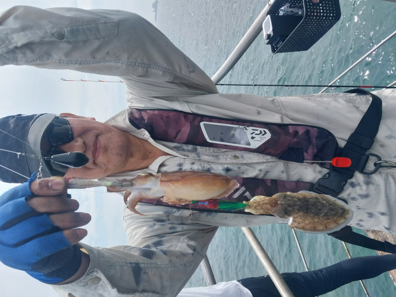 나르샤호 조황갤러리입니다.