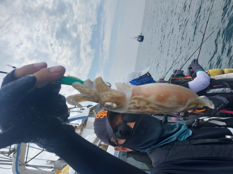 나르샤호 조황갤러리입니다.