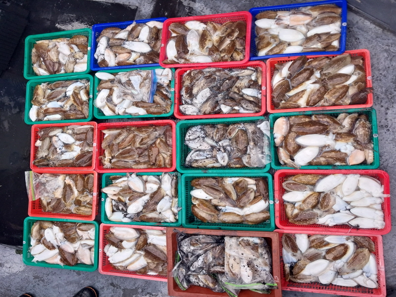 나르샤호 조황갤러리입니다.