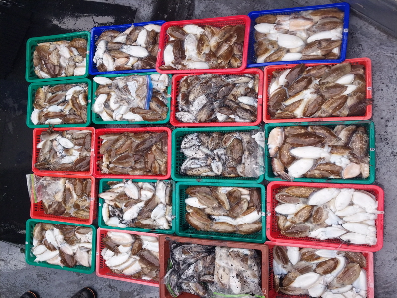 나르샤호 조황갤러리입니다.