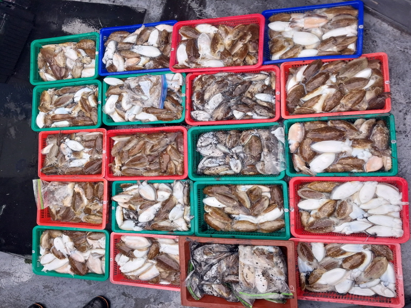 나르샤호 조황갤러리입니다.