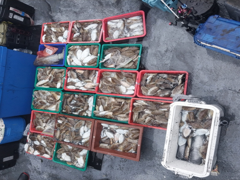 나르샤호 조황갤러리입니다.