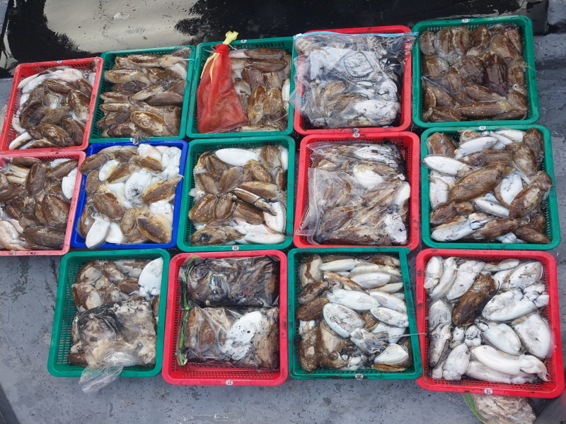 나르샤호 조황갤러리입니다.