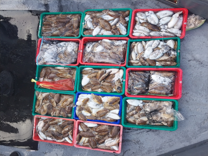 나르샤호 조황갤러리입니다.