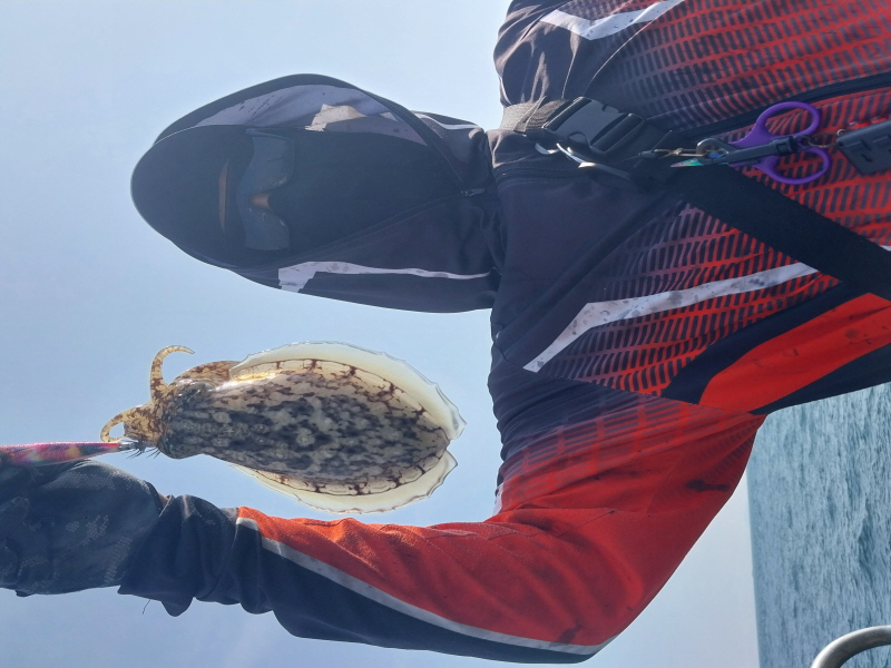 나르샤호 조황갤러리입니다.